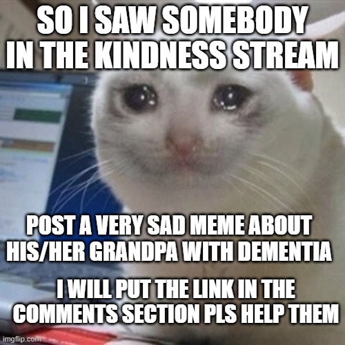 PLS HELP THIS PERSON | SO I SAW SOMEBODY IN THE KINDNESS STREAM; POST A VERY SAD MEME ABOUT HIS/HER GRANDPA WITH DEMENTIA; I WILL PUT THE LINK IN THE COMMENTS SECTION PLS HELP THEM | image tagged in crying cat | made w/ Imgflip meme maker