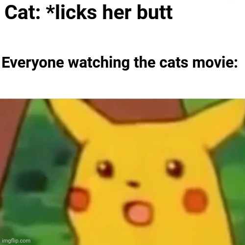 Surprised Pikachu Meme | Cat: *licks her butt; Everyone watching the cats movie: | image tagged in memes,surprised pikachu,cats | made w/ Imgflip meme maker