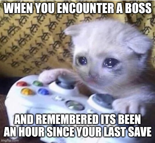 My life is ruined | WHEN YOU ENCOUNTER A BOSS; AND REMEMBERED ITS BEEN AN HOUR SINCE YOUR LAST SAVE | image tagged in sad gaming cat | made w/ Imgflip meme maker