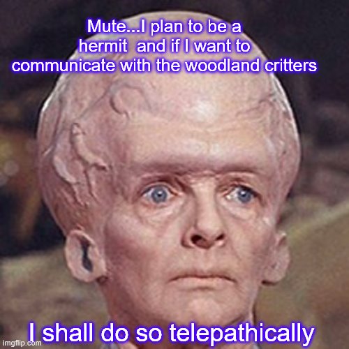Mute...I plan to be a hermit  and if I want to communicate with the woodland critters I shall do so telepathically | made w/ Imgflip meme maker