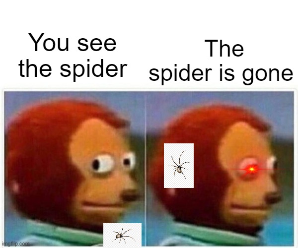 Monkey Pupet Oofed | The spider is gone; You see the spider | image tagged in memes,monkey puppet | made w/ Imgflip meme maker