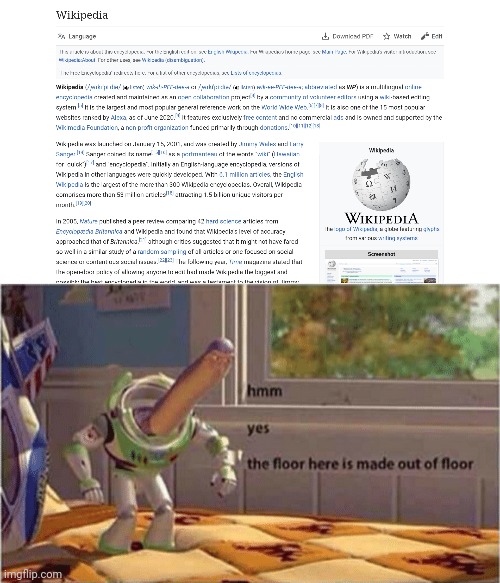 Wikipedia page on wikipedia | image tagged in hmm yes the floor here is made out of floor | made w/ Imgflip meme maker