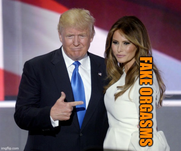 Trump melania pointing | FAKE ORGASMS | image tagged in trump melania pointing | made w/ Imgflip meme maker