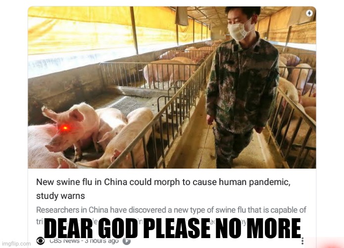 this year will never end | DEAR GOD PLEASE NO MORE | image tagged in swine flu,pandemic,no more,dear god,apocalypse,2020 | made w/ Imgflip meme maker