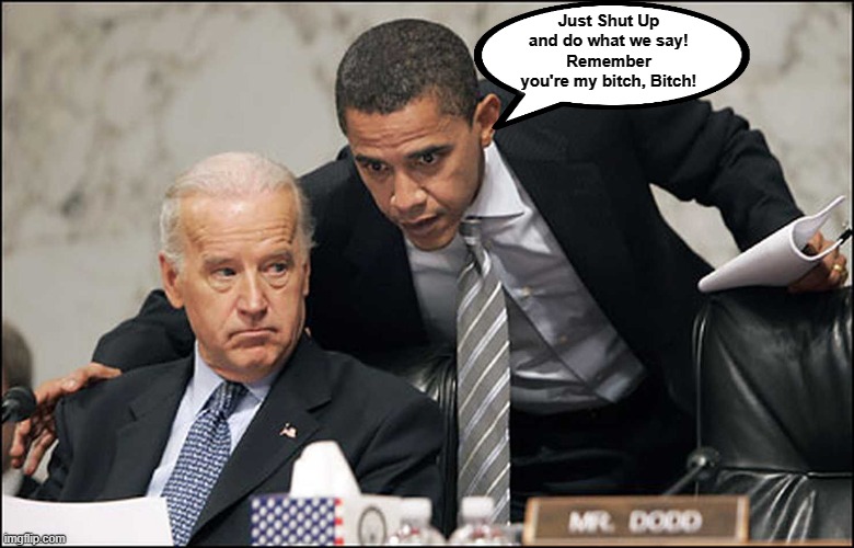 Biden |  Just Shut Up and do what we say!
Remember you're my bitch, Bitch! | image tagged in obama biden | made w/ Imgflip meme maker