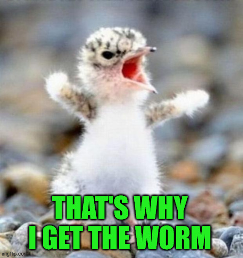 Early Bird!!! | THAT'S WHY I GET THE WORM | image tagged in early bird | made w/ Imgflip meme maker