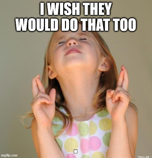 I wish | I WISH THEY WOULD DO THAT TOO | image tagged in i wish | made w/ Imgflip meme maker