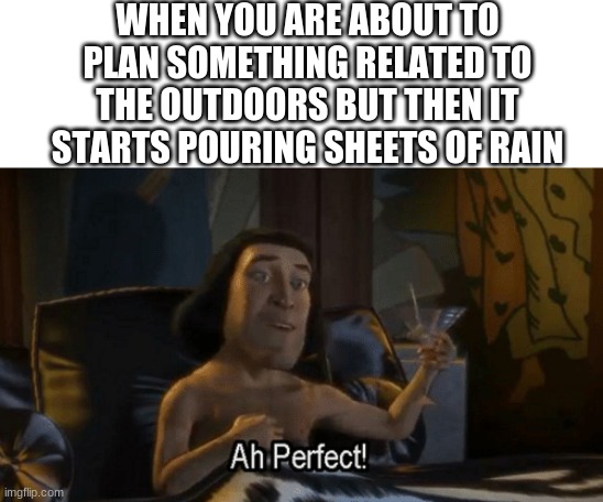 For some reason, my favorite weather is either really sunny days or thunderstorms. I guess I don't like the rain itself, but wha | WHEN YOU ARE ABOUT TO PLAN SOMETHING RELATED TO THE OUTDOORS BUT THEN IT STARTS POURING SHEETS OF RAIN | image tagged in lord farquad perfect | made w/ Imgflip meme maker