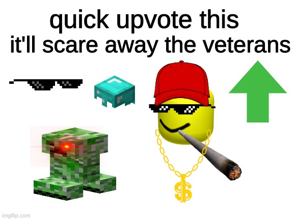 boo | it'll scare away the veterans; quick upvote this | image tagged in blank white template | made w/ Imgflip meme maker