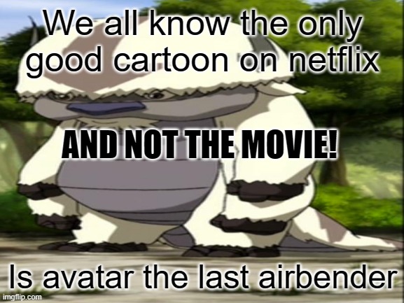 We all know.. | We all know the only good cartoon on netflix; AND NOT THE MOVIE! Is avatar the last airbender | image tagged in avatar the last airbender | made w/ Imgflip meme maker