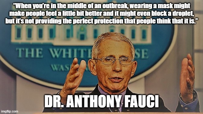 Block a Droplet | “When you’re in the middle of an outbreak, wearing a mask might make people feel a little bit better and it might even block a droplet, but it’s not providing the perfect protection that people think that it is.”; DR. ANTHONY FAUCI | image tagged in memes,politics,coronavirus,masks,health | made w/ Imgflip meme maker