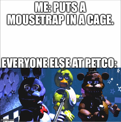 what the heck man | ME: PUTS A MOUSETRAP IN A CAGE. EVERYONE ELSE AT PETCO: | made w/ Imgflip meme maker
