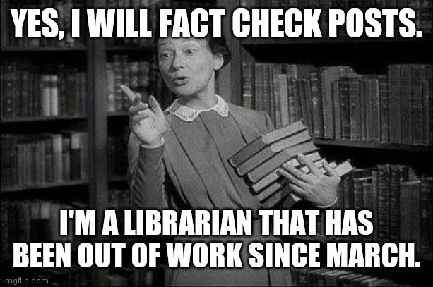 Quarantined Librarian | YES, I WILL FACT CHECK POSTS. I'M A LIBRARIAN THAT HAS BEEN OUT OF WORK SINCE MARCH. | image tagged in librarian,quarantine,covid-19,fact check | made w/ Imgflip meme maker