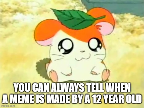 Trump is mean and you're all poopyheads. | YOU CAN ALWAYS TELL WHEN A MEME IS MADE BY A 12 YEAR OLD | image tagged in memes,hamtaro | made w/ Imgflip meme maker