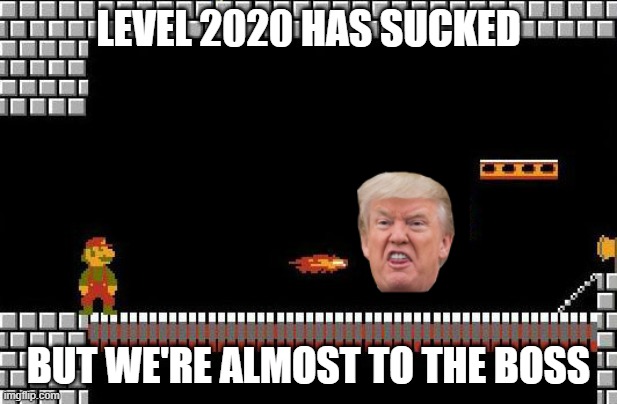 11-3 is almost here | LEVEL 2020 HAS SUCKED; BUT WE'RE ALMOST TO THE BOSS | image tagged in super mario bros,donald trump,election 2020 | made w/ Imgflip meme maker