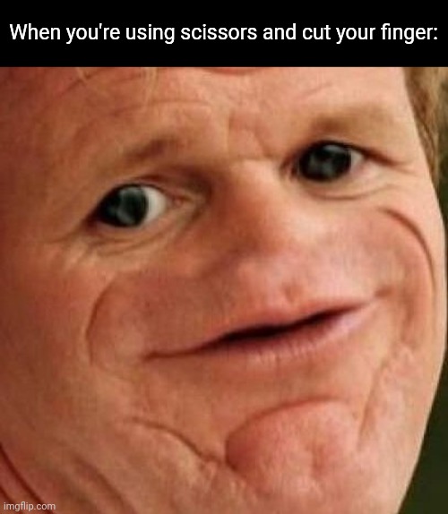 Title, I guess | When you're using scissors and cut your finger: | image tagged in sosig | made w/ Imgflip meme maker