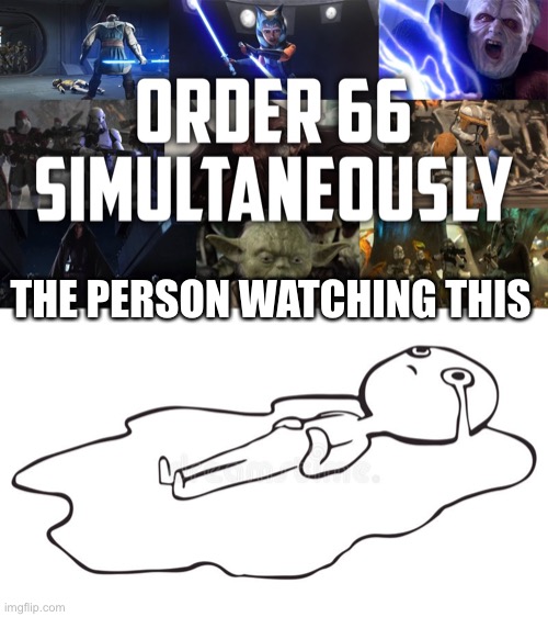 Order 66 | THE PERSON WATCHING THIS | image tagged in order 66 | made w/ Imgflip meme maker