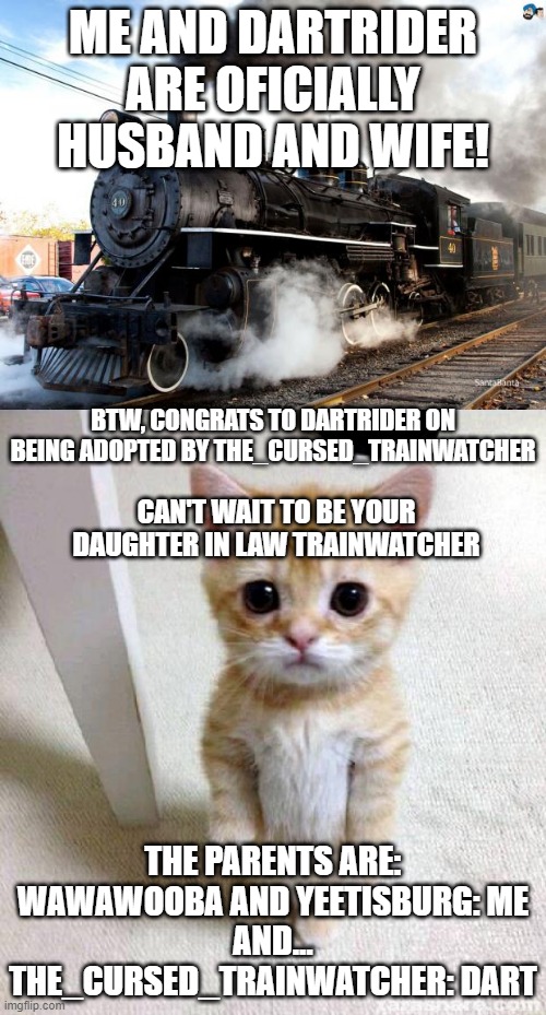 congratulations | ME AND DARTRIDER ARE OFICIALLY HUSBAND AND WIFE! BTW, CONGRATS TO DARTRIDER ON BEING ADOPTED BY THE_CURSED_TRAINWATCHER; CAN'T WAIT TO BE YOUR DAUGHTER IN LAW TRAINWATCHER; THE PARENTS ARE:
WAWAWOOBA AND YEETISBURG: ME
AND...
THE_CURSED_TRAINWATCHER: DART | image tagged in memes,cute cat,train | made w/ Imgflip meme maker