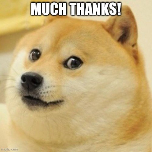 wow doge | MUCH THANKS! | image tagged in wow doge | made w/ Imgflip meme maker