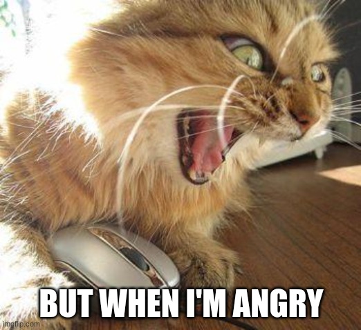 angry cat | BUT WHEN I'M ANGRY | image tagged in angry cat | made w/ Imgflip meme maker
