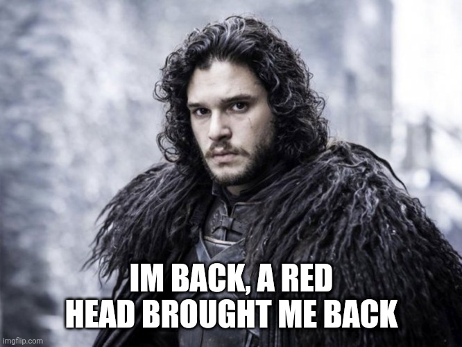 jon snow | IM BACK, A RED HEAD BROUGHT ME BACK | image tagged in jon snow | made w/ Imgflip meme maker