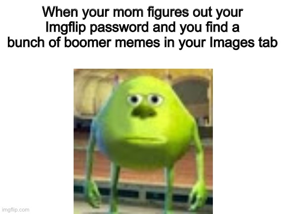 Blank White Template | When your mom figures out your Imgflip password and you find a bunch of boomer memes in your Images tab | image tagged in blank white template | made w/ Imgflip meme maker
