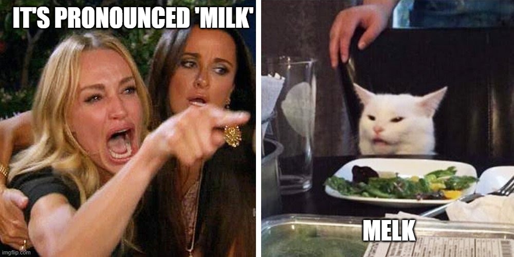cats like melk | IT'S PRONOUNCED 'MILK'; MELK | image tagged in smudge the cat | made w/ Imgflip meme maker