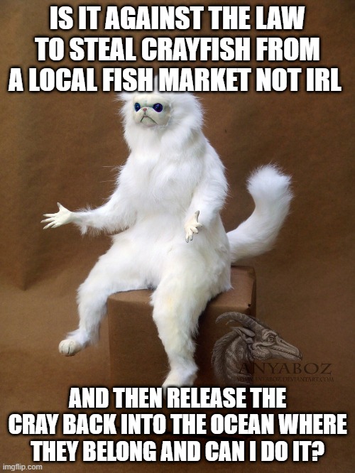 just wondering.... | IS IT AGAINST THE LAW TO STEAL CRAYFISH FROM A LOCAL FISH MARKET NOT IRL; AND THEN RELEASE THE CRAY BACK INTO THE OCEAN WHERE THEY BELONG AND CAN I DO IT? | image tagged in memes,persian cat room guardian single | made w/ Imgflip meme maker