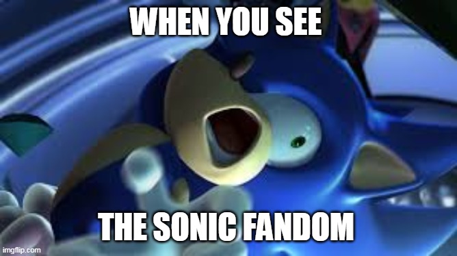 sonic fandom trigerred | WHEN YOU SEE; THE SONIC FANDOM | image tagged in sonic is trigerred,memes,funny,the furry fandom,fandom | made w/ Imgflip meme maker
