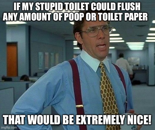 Stupid ass water saving eco friendly toilets!! -_- | IF MY STUPID TOILET COULD FLUSH ANY AMOUNT OF POOP OR TOILET PAPER; THAT WOULD BE EXTREMELY NICE! | image tagged in memes,that would be great,toilet | made w/ Imgflip meme maker