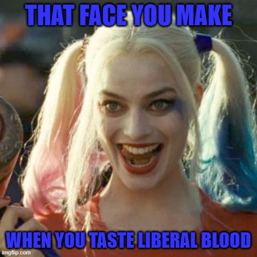 Harly Q | THAT FACE YOU MAKE; WHEN YOU TASTE LIBERAL BLOOD | image tagged in stupid liberals | made w/ Imgflip meme maker