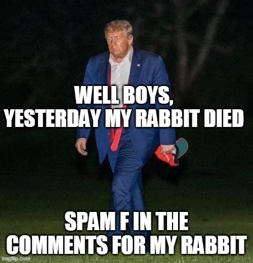 Sad Trump | WELL BOYS, YESTERDAY MY RABBIT DIED; SPAM F IN THE COMMENTS FOR MY RABBIT | image tagged in sad trump | made w/ Imgflip meme maker