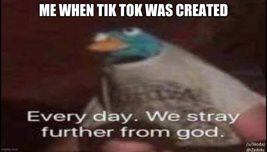 ME WHEN TIK TOK WAS CREATED | made w/ Imgflip meme maker