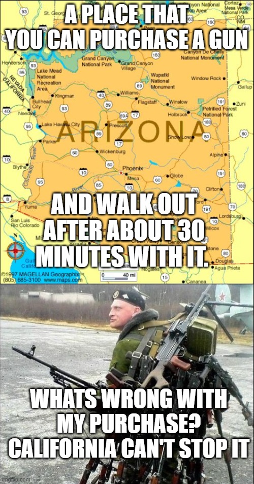 Come and Buy | A PLACE THAT YOU CAN PURCHASE A GUN; AND WALK OUT AFTER ABOUT 30 MINUTES WITH IT. WHATS WRONG WITH MY PURCHASE? CALIFORNIA CAN'T STOP IT | image tagged in arizona,too many guns | made w/ Imgflip meme maker