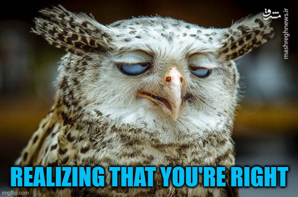 Unwise Owl | REALIZING THAT YOU'RE RIGHT | image tagged in unwise owl | made w/ Imgflip meme maker