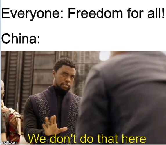 Freedom | Everyone: Freedom for all! China:; We don't do that here | image tagged in we don't do that here,memes,funny,china,freedom | made w/ Imgflip meme maker