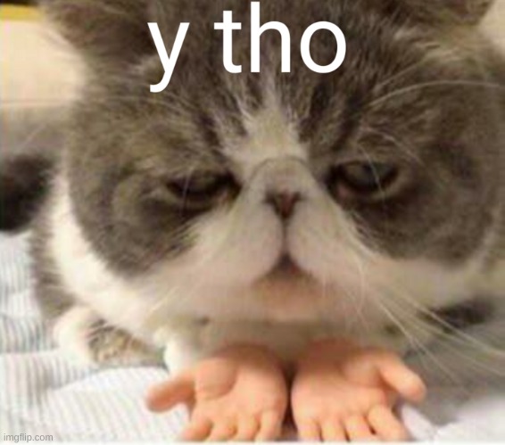 made w/ Imgflip meme maker