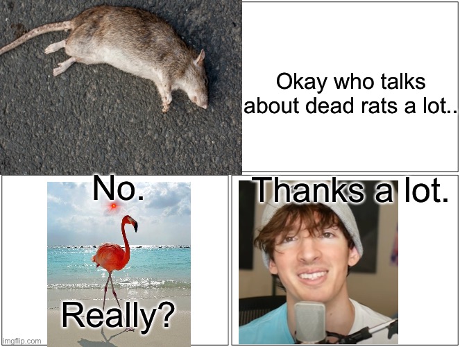 Rat Memes Gifs Imgflip