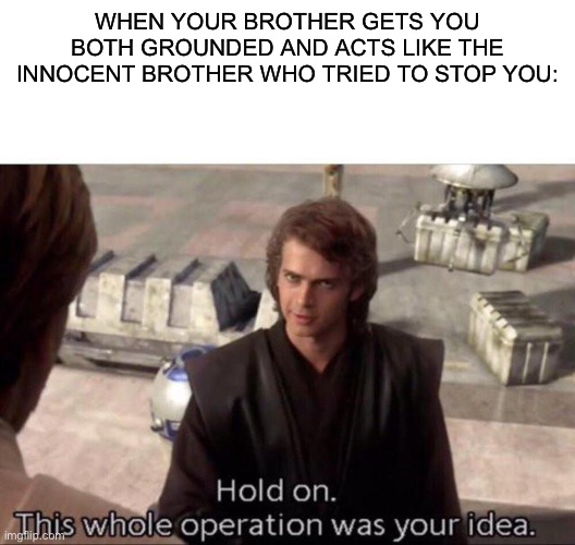 This whole operation was your idea | WHEN YOUR BROTHER GETS YOU BOTH GROUNDED AND ACTS LIKE THE INNOCENT BROTHER WHO TRIED TO STOP YOU: | image tagged in this whole operation was your idea | made w/ Imgflip meme maker