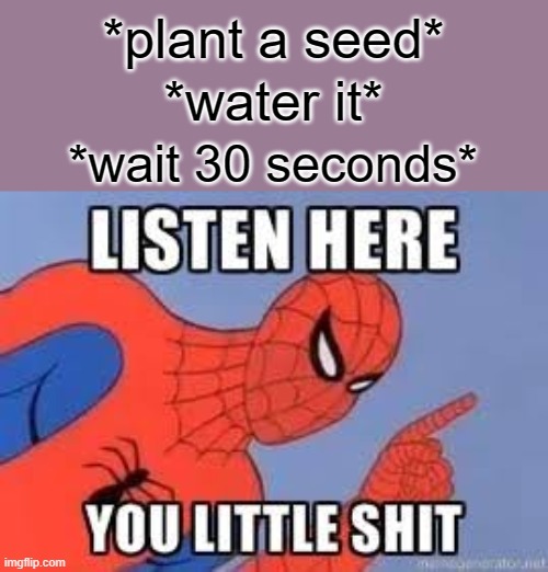 I am THE impatient planter | *plant a seed*; *water it*; *wait 30 seconds* | image tagged in now listen here you little shit,gardening,plants,seeds | made w/ Imgflip meme maker