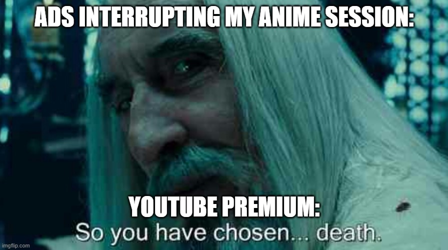 Anime Is Important | ADS INTERRUPTING MY ANIME SESSION:; YOUTUBE PREMIUM: | image tagged in so you have chosen death | made w/ Imgflip meme maker