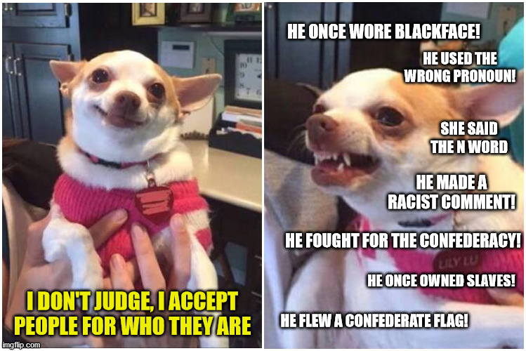 Liberals are Ruff! | HE ONCE WORE BLACKFACE! HE USED THE WRONG PRONOUN! SHE SAID THE N WORD; HE MADE A RACIST COMMENT! HE FOUGHT FOR THE CONFEDERACY! HE ONCE OWNED SLAVES! I DON'T JUDGE, I ACCEPT PEOPLE FOR WHO THEY ARE; HE FLEW A CONFEDERATE FLAG! | image tagged in happy chihuahua angry chihuahua,memes,liberal logic,dont judge me,sjw triggered | made w/ Imgflip meme maker