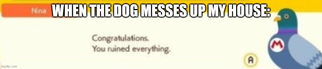 Congratulations you ruined everything | WHEN THE DOG MESSES UP MY HOUSE: | image tagged in congratulations you ruined everything | made w/ Imgflip meme maker