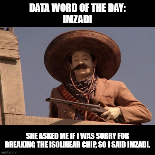 Data word of the day |  DATA WORD OF THE DAY:
IMZADI; SHE ASKED ME IF I WAS SORRY FOR BREAKING THE ISOLINEAR CHIP, SO I SAID IMZADI. | image tagged in memes,data,star trek the next generation,mexican word of the day,big bang theory,bad pun | made w/ Imgflip meme maker