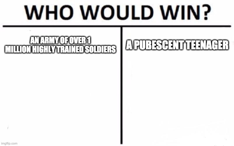Who Would Win? Meme | AN ARMY OF OVER 1 MILLION HIGHLY TRAINED SOLDIERS; A PUBESCENT TEENAGER | image tagged in memes,who would win | made w/ Imgflip meme maker