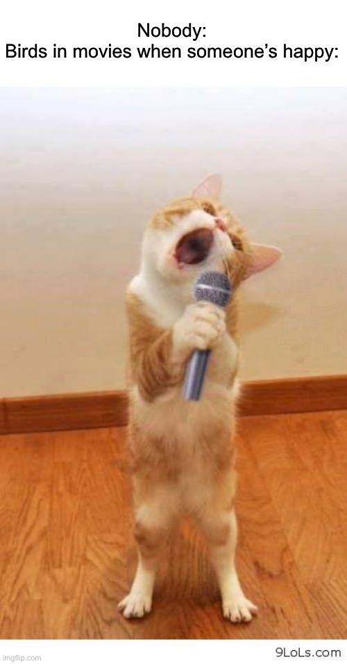 Cat Singer | Nobody:
Birds in movies when someone’s happy: | image tagged in cat singer | made w/ Imgflip meme maker
