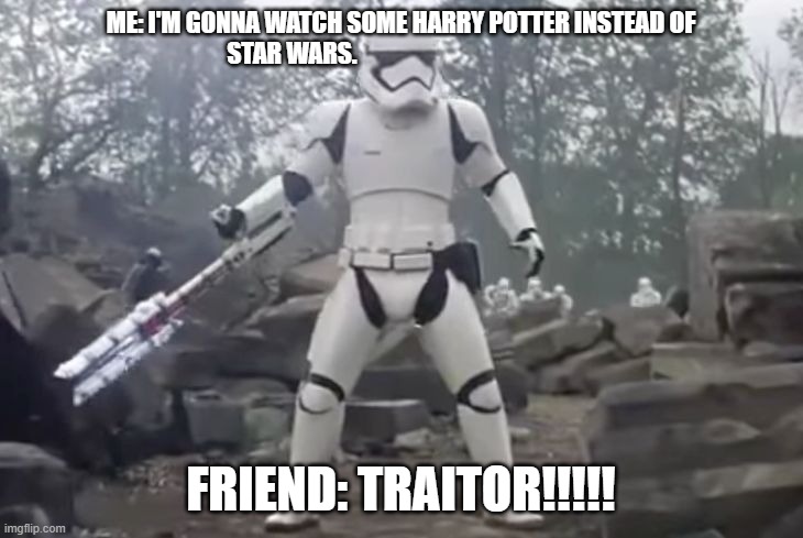 H A R R Y P O T T E R | ME: I'M GONNA WATCH SOME HARRY POTTER INSTEAD OF STAR WARS. FRIEND: TRAITOR!!!!! | image tagged in traitor | made w/ Imgflip meme maker