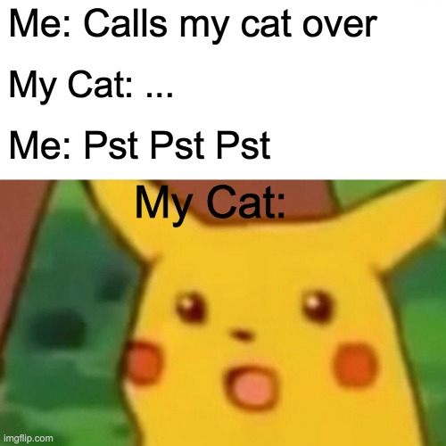 Pst Pst Pst | Me: Calls my cat over; My Cat: ... Me: Pst Pst Pst; My Cat: | image tagged in memes,surprised pikachu | made w/ Imgflip meme maker