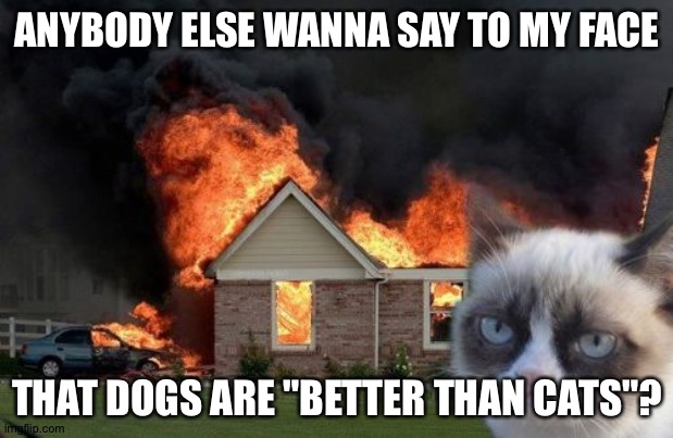 Don't make the cat angry | ANYBODY ELSE WANNA SAY TO MY FACE; THAT DOGS ARE "BETTER THAN CATS"? | image tagged in memes,burn kitty,grumpy cat | made w/ Imgflip meme maker