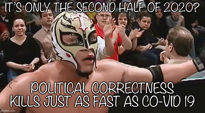 2020 | IT’S ONLY THE SECOND HALF OF 2020? POLITICAL CORRECTNESS KILLS JUST AS FAST AS CO-VID 19 | image tagged in rey | made w/ Imgflip meme maker